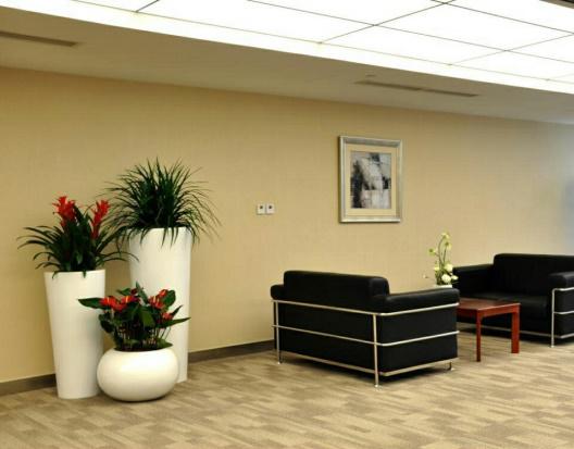 花卉綠植租擺的雷區有哪些呢？