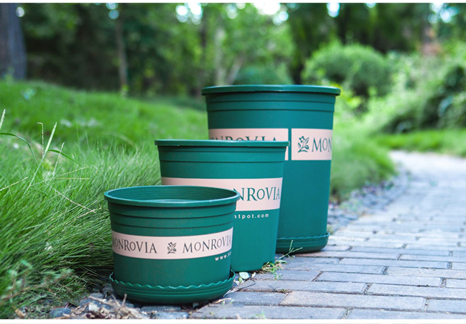 樹(shù)脂加侖花盆